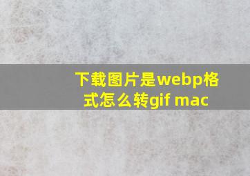 下载图片是webp格式怎么转gif mac